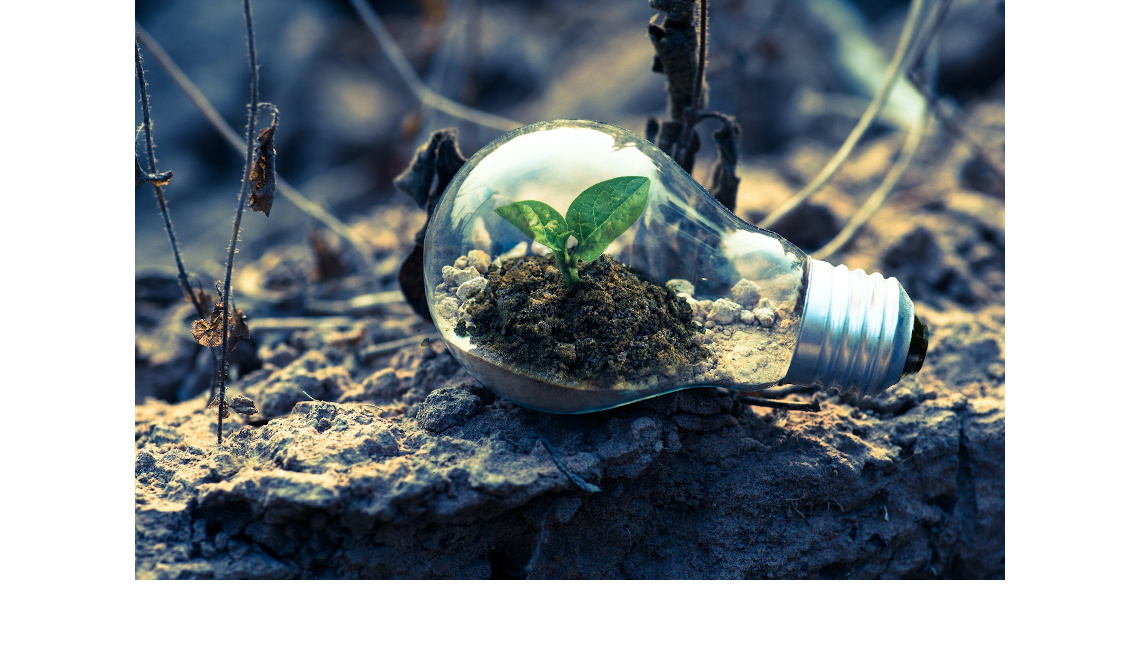Light bulb
